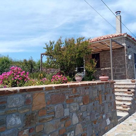 شقة Cozy House With Amazing Sea View Kaminia  المظهر الخارجي الصورة