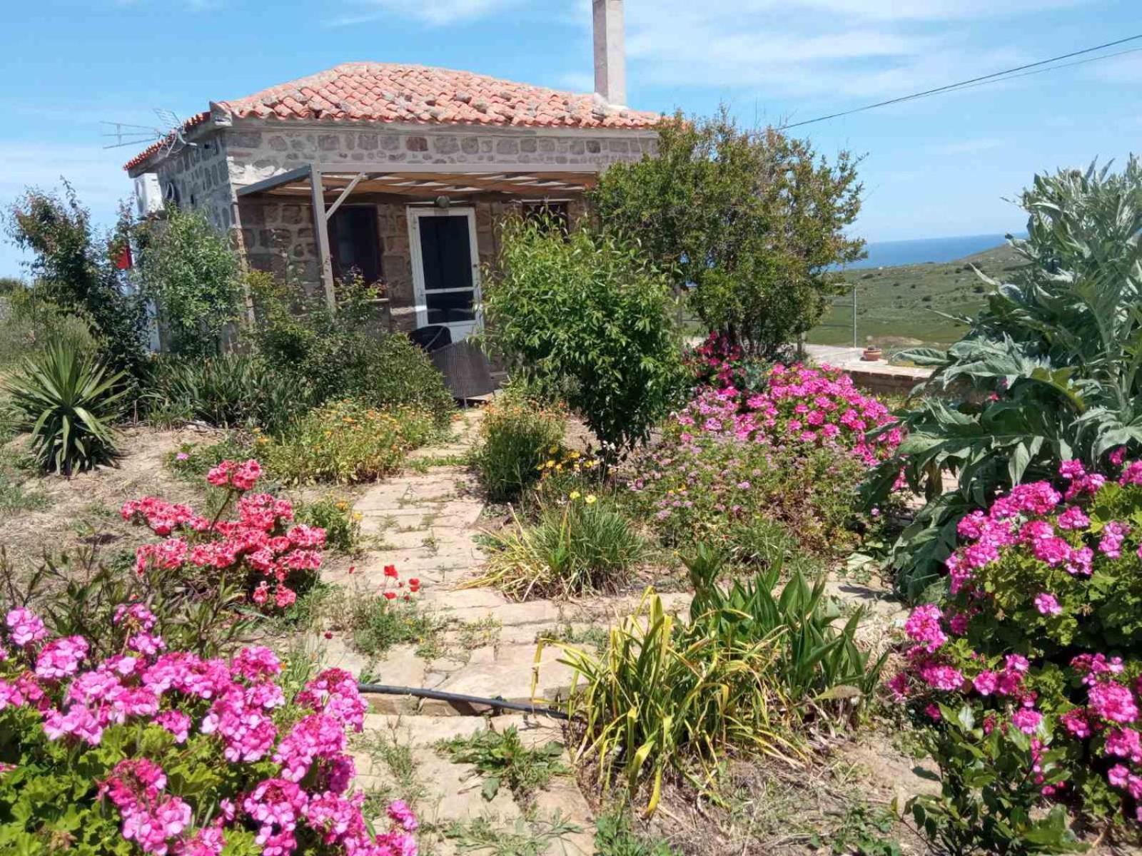 شقة Cozy House With Amazing Sea View Kaminia  المظهر الخارجي الصورة